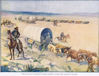 The Bullock Wagons Wound Slowly Over the Billowy Plains